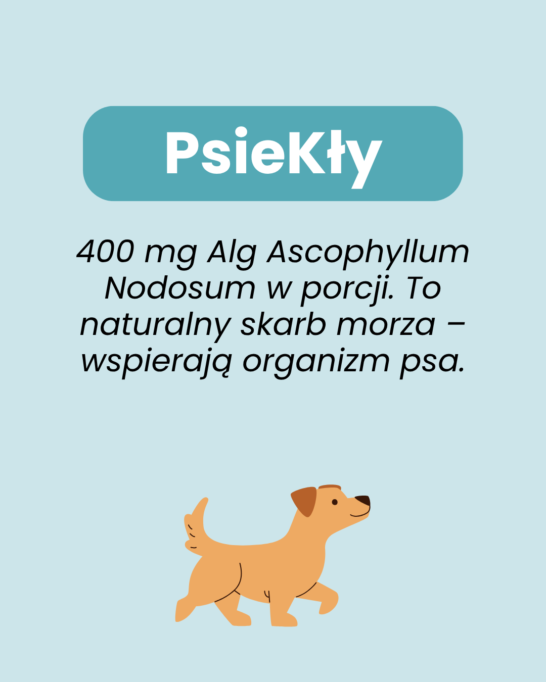 1 psiekły