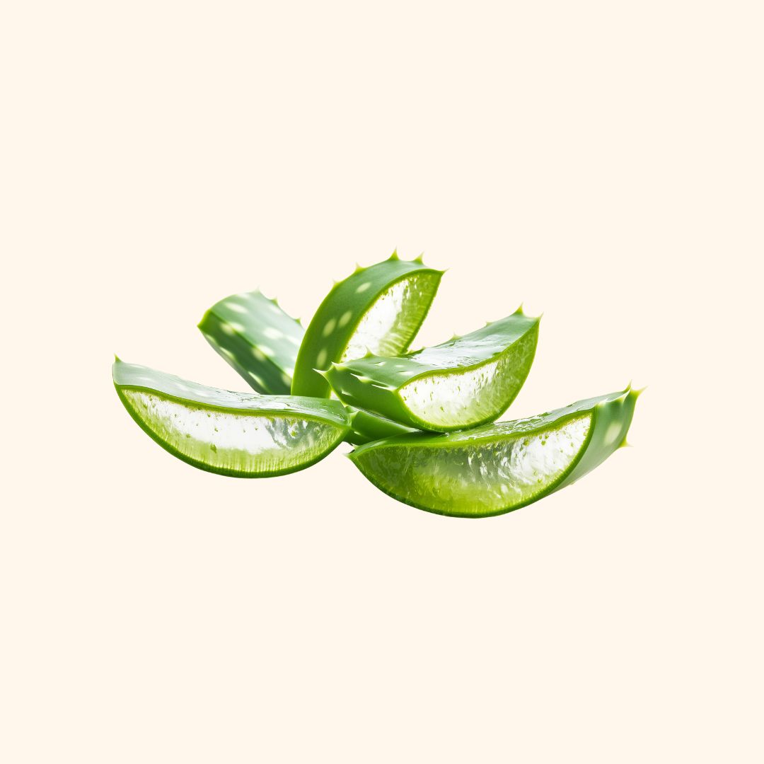 aloes
